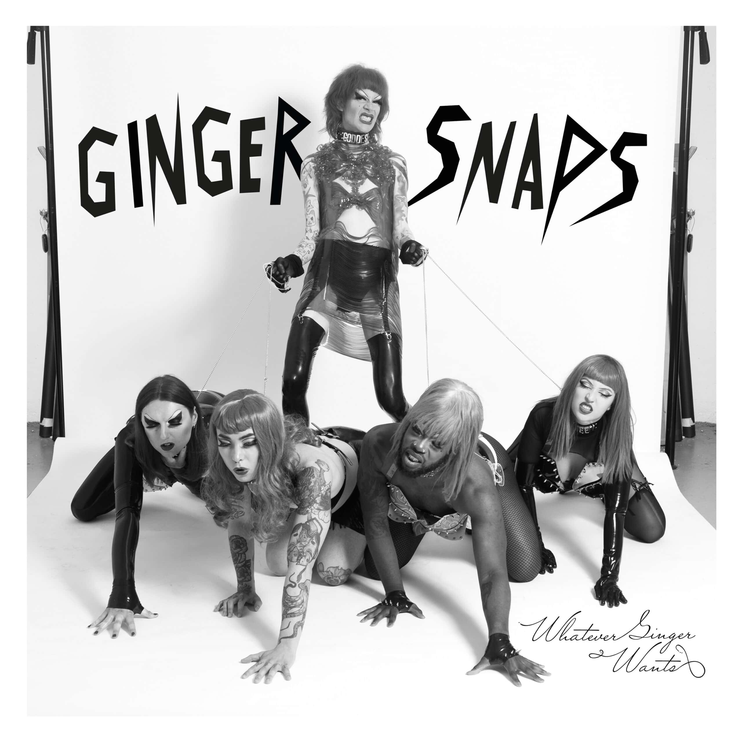 Ginger Snaps - Music Single Artwork